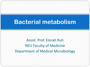 Bacterial metabolism