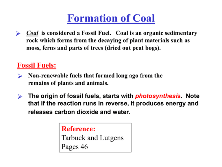 Formation Of Coal 6628