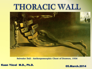6. Muscles of the Thoracic Wall