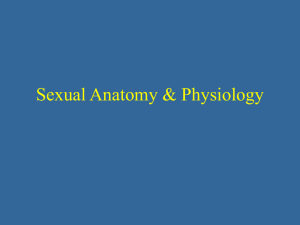 Female Anatomy & Physiology