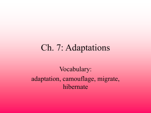 Ch. 7: Adaptations