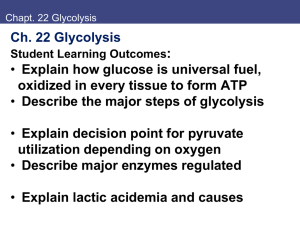 Anaerobic glycolysis