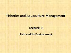 Fisheries and Aquaculture Management_Lecture