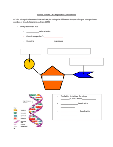 Nucleic Acid and DNA Replication Outline Notes AKS 9a