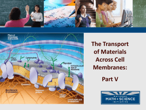 Cell membrane transport PPT
