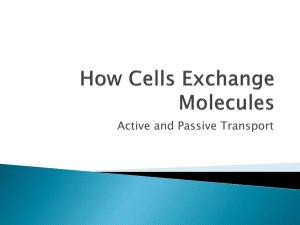 How Cells Exchange Molecules