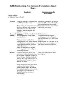 Table Summarizing Key Features of Cranial and Facial Bones