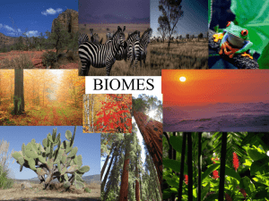 Biomes-POWERPOINT-2-notes