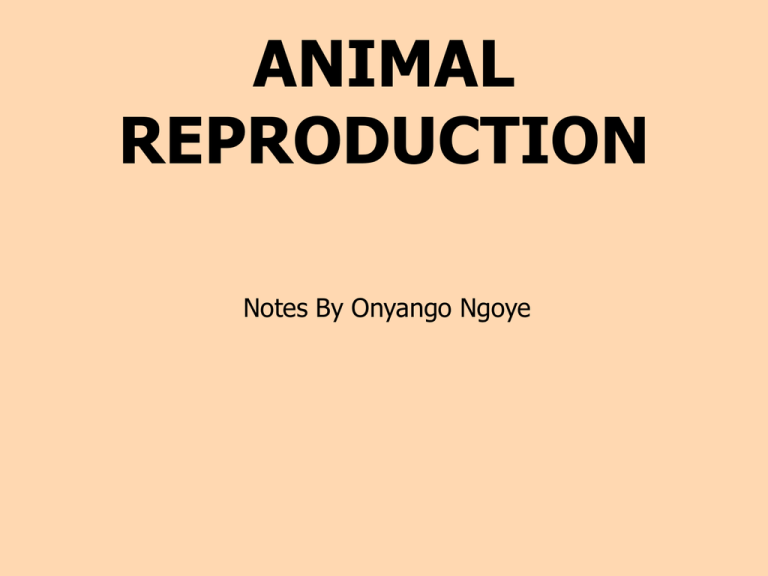 Reproduction Cattle & Poultry (PPT)