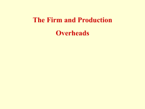 The Firm and Production