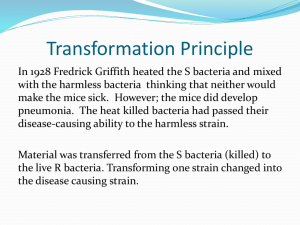 DNA - Fort Bend ISD