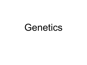 Genetics - Fort Bend ISD