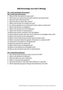 B2 Revision Poster questions per Topic