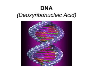 DNA - s3.amazonaws.com