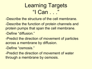 The Cell Membrane and the Transport of Materials