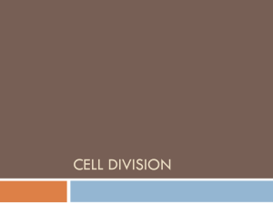 Cell division - Cloudfront.net