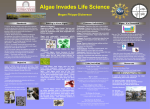 Algae Invades Life Science