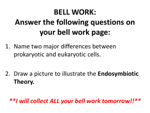 Answer the following questions on your bell work page