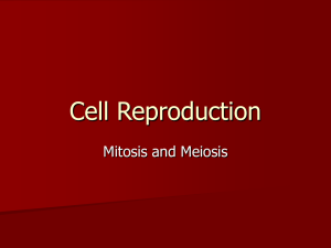 Cell Reproduction - The Only Way is Geek