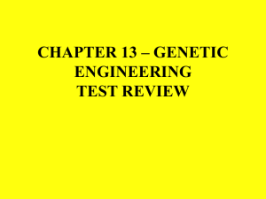 CHAPTER 13 – GENETIC ENGINEERING.REVIEW