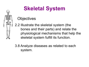 Skeletal System