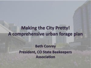 Making the City Pretty! A comprehensive urban forage plan