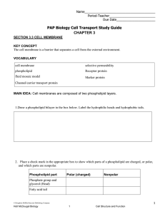 PAP Biology Cell Transport Study Guide