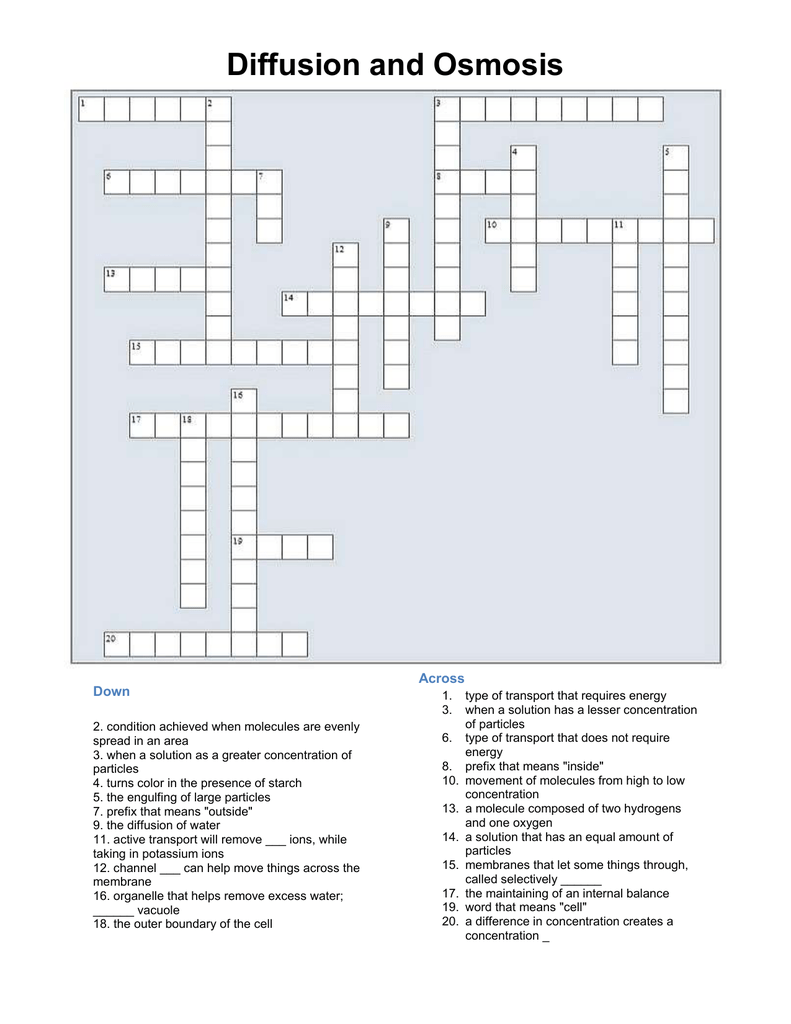 Diffusion And Osmosis Crossword Puzzle Answer Key