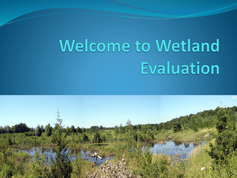 wetland-evaluation-otty-lake-association