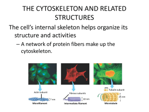Cystic Fibrosis and the Cell Membrane