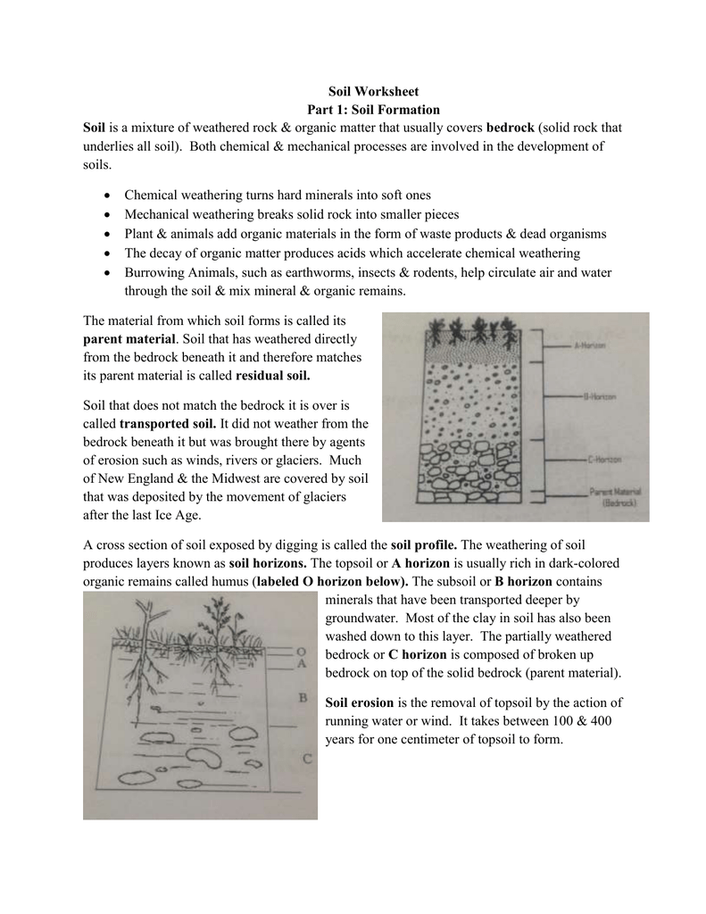 Soil Formation Worksheet Answers