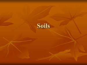 Soils - Quia