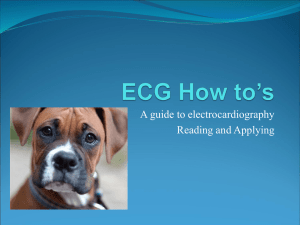 ECG How to's - CecchiniCuore.org