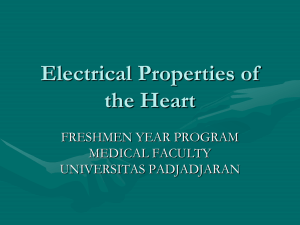 Electrical properties - Akademik Ciamik 2010