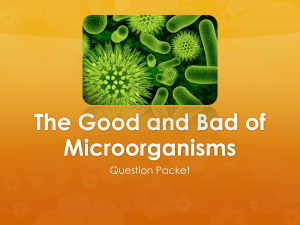 Microorganism Answers to Study Guide