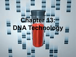 Chapter 13: DNA Technology