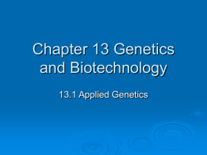 Chapter 13 Genetics and Biotechnology