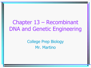 Chapter 15 – Recombinant DNA and Genetic Engineering