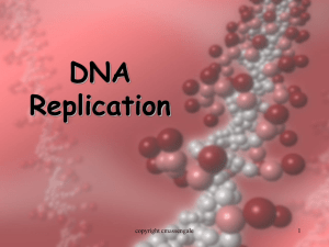 DNA Replication - Lisle CUSD 202