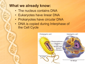 PowerPoint-DNA