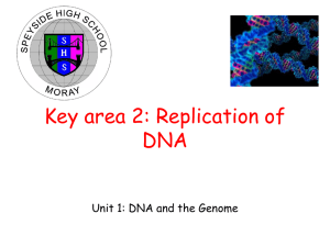 DNA and the Genome