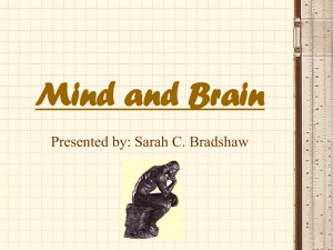 Mind and Brain (Sarah Bradshaw)