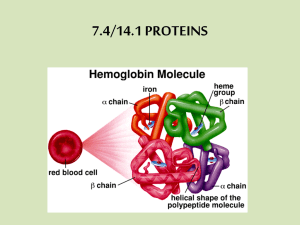 Four Functions of Proteins