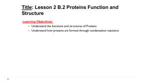 Protein Function and Structure