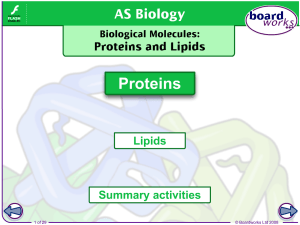 Proteins revision PowerPoint