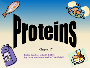 Proteins