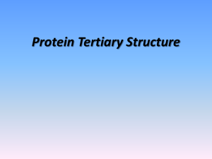TERTIARY STRUCTURE OF PROTEINS
