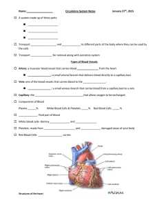 Name: Circulatory System Notes January 27th, 2015 A system made