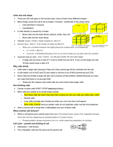 Click here for a cell division and Men. genetics review