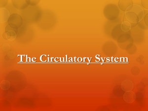 Circulatory System CBC